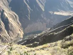 Brigadistas indican que hay zonas del Valle del Colca donde se debe buscar a Ciro Castillo