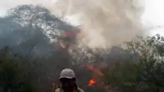 Cusco: incendio forestal destruye 140 hectáreas de cultivos en La Convención