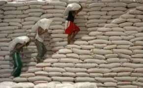 Agricultores piuranos muestran su preocupación por la baja en el precio del arroz
