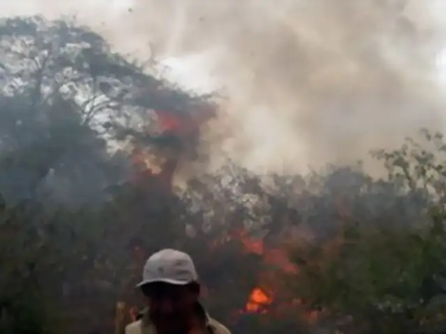 Cusco: incendio forestal destruye 140 hectáreas de cultivos en La Convención