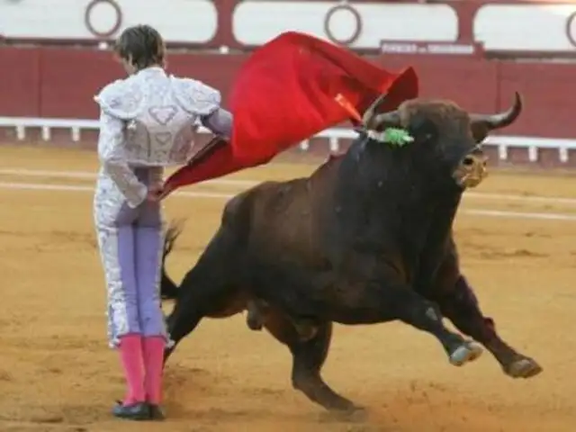 Prohíben corridas de toros en provincia de la región Junín