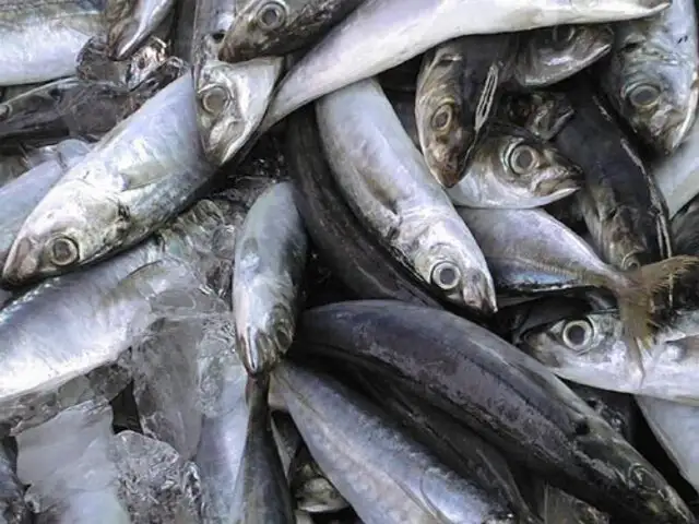 Especialistas recomiendan consumir pescado dos veces a la semana