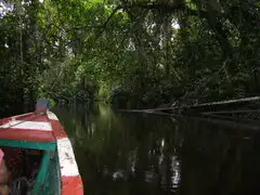 Mañana en BDP recorra “Los Bosques Húmedos de Alto Mayo”