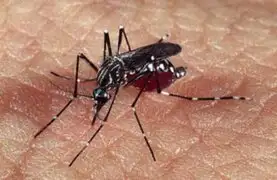 Ministerio de Salud lanzó campaña de prevención y control del dengue