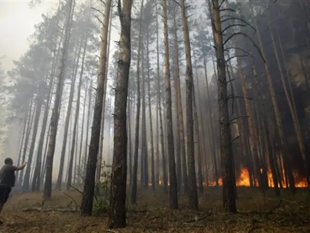 Se incendiaron 18 hectáreas de bosques en Rusia