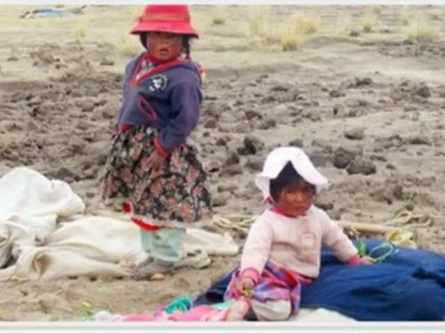 En el Perú hay más de 500 mil niños desnutridos