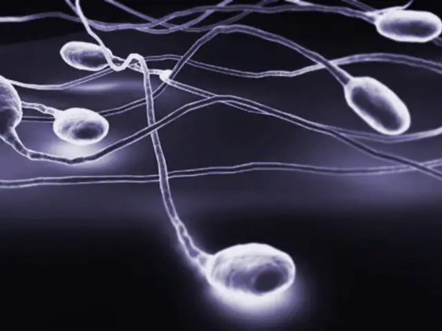 Descubren mutación en el esperma que causa la infertilidad masculina