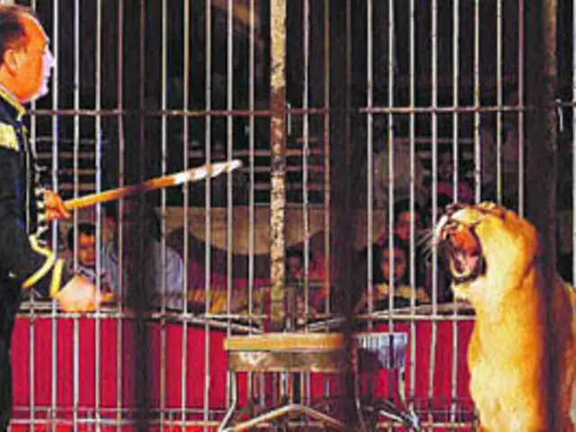 Presidente García promulgó ley que prohíbe uso animales salvajes en los circos