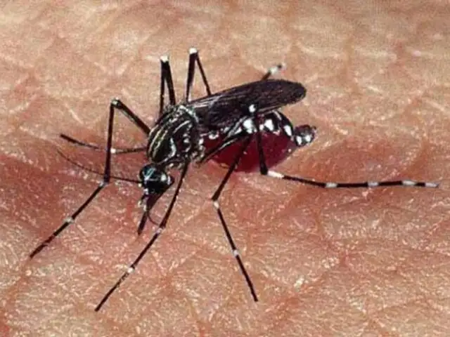 Dengue mata a dos personas y deja más de mil afectados en Cajamarca