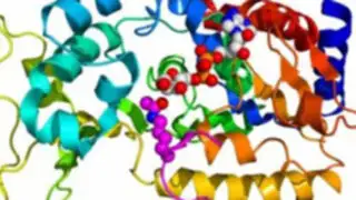Científicos identifican a la proteína causante de cáncer