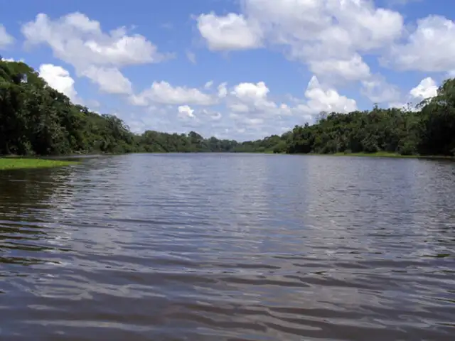 Río Amazonas no es el mejor lugar para proteger a mamíferos marinos, aseguran