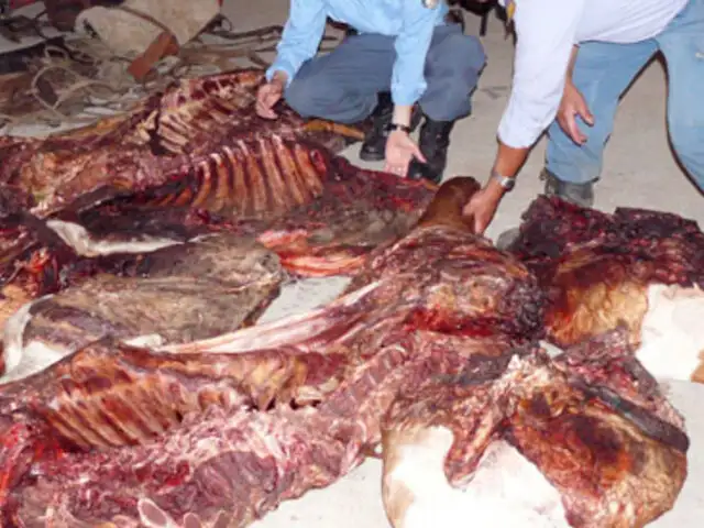 Policía Fiscal decomisó 400 kilos de carne de caballo en mercados de La Victoria