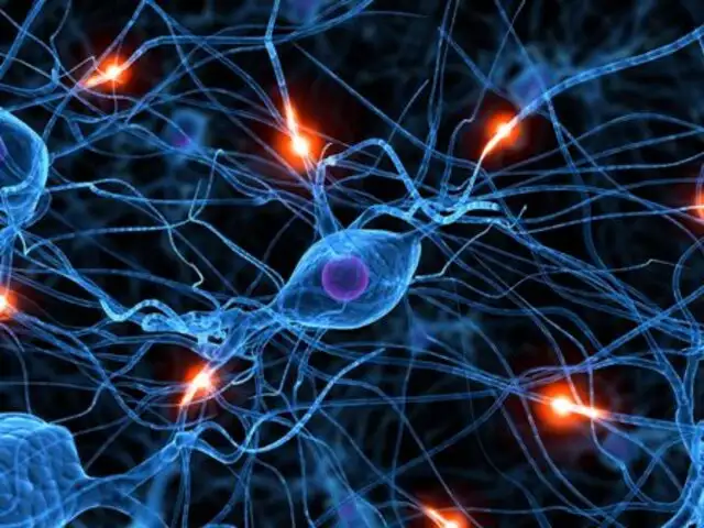 Científicos de Columbia University convierten células de la piel en neuronas