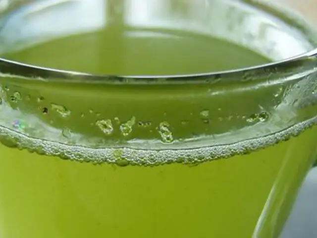 Descubren compuesto en el té verde que combate tumores y enfermedades congénitas  