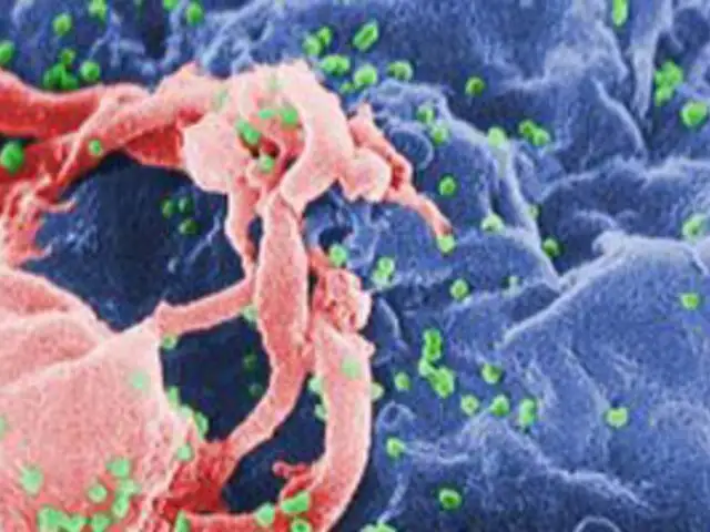 Científicos Aíslan 17 nuevos anticuerpos eficaces contra el VIH