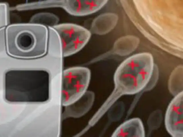 Científicos señalan que el uso de Celulares en el bolsillo pueden afectar a los espermatozoides 