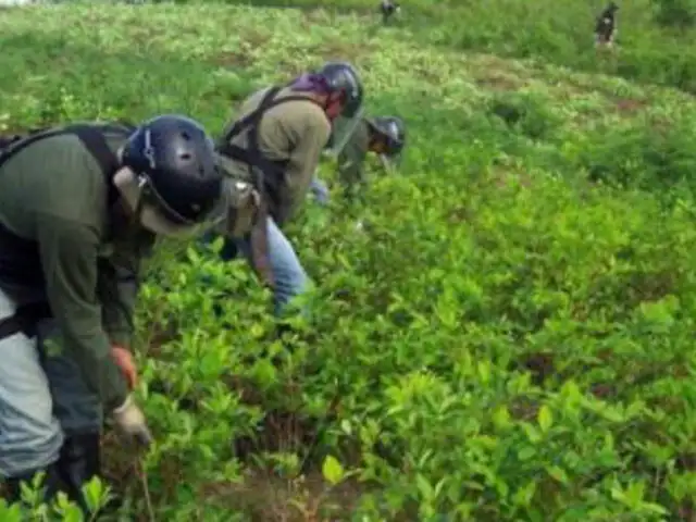 Economía de nuevos centros poblados del VRAE giran alrededor del narcotráfico