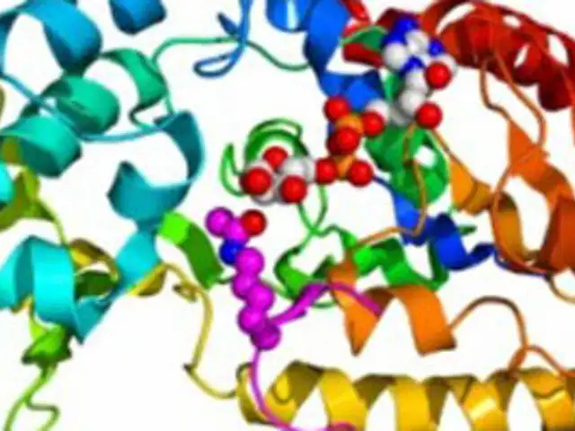 Científicos identifican a la proteína causante de cáncer