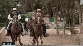 El suave andar del caballo de paso peruano