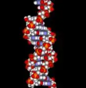 Científico español subrayó la necesidad de la ingeniería genética para luchar contra el cáncer 