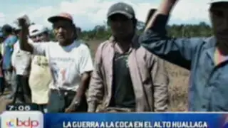 En el Alto Huallaga los pobladores le declaran la guerra a la Coca