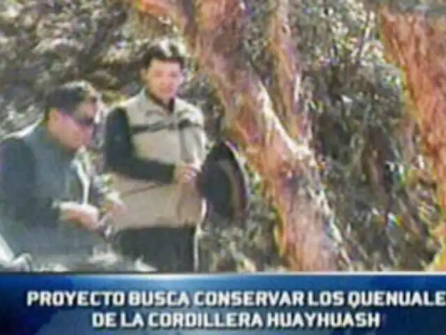 Novedoso proyecto busca conservar los quenuales en la Cordillera Huayhuash