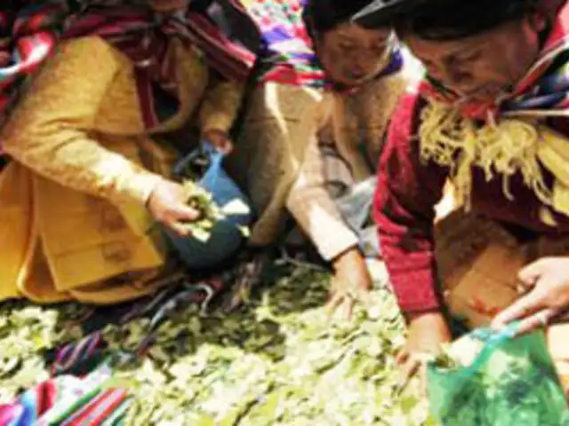 La hoja de Coca es declarada patrimonio de Perú y Bolivia