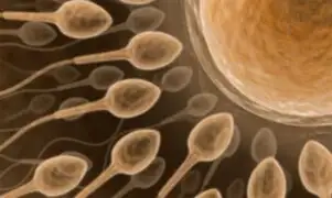 Por eyacular frecuentemente se mejora la calidad del ADN en el esperma 