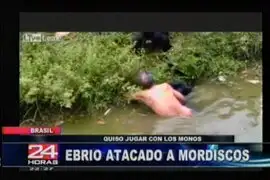 Persona ebria es mordida por monos en zoológico de Brasil