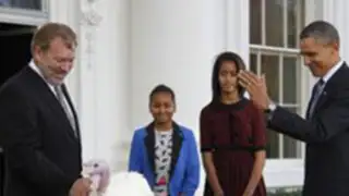 Obama “indultó” a dos pavos en la previa al Día de Acción de Gracias  