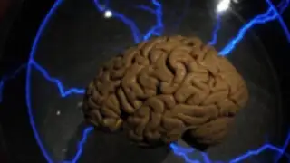 Cerebro de los niños con autismo regresivo es de mayor tamaño que el normal  