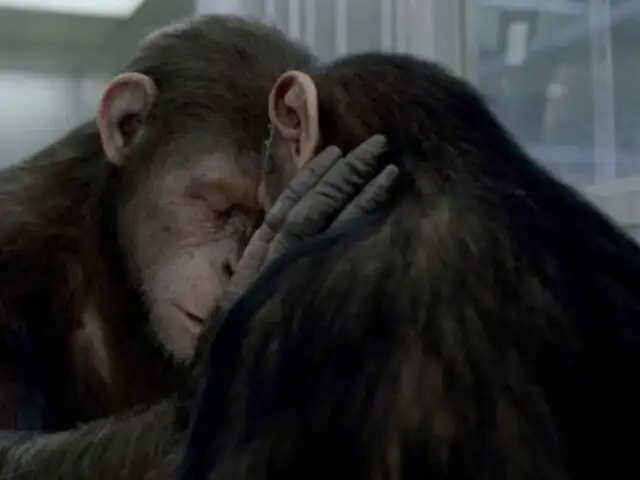 Se inicia firma de contratos para la secuela de la cinta “El origen del planeta de los simios” 