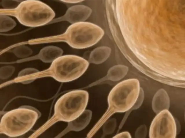 Por eyacular frecuentemente se mejora la calidad del ADN en el esperma 