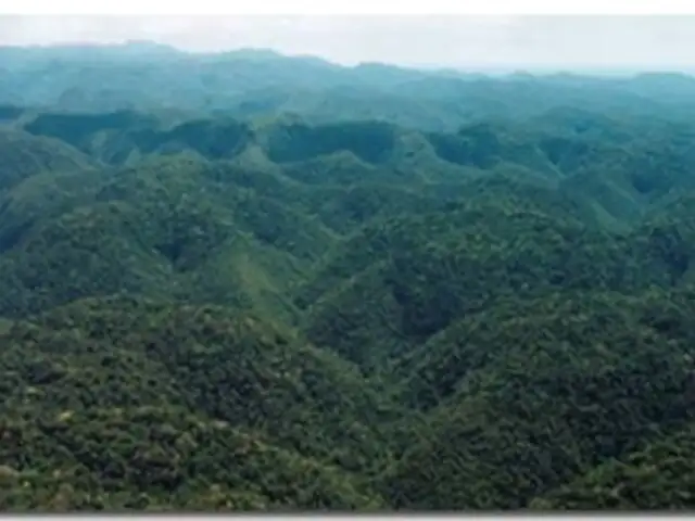 Protegen a nativos del parque nacional Cordillera Azul 