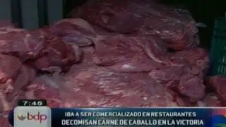 Policía decomisa una tonelada de carne de caballo en La Victoria  