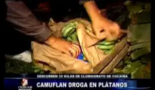 Policía incauta 35 kilos de clorhidrato de cocaína camuflados en cajas de plátanos