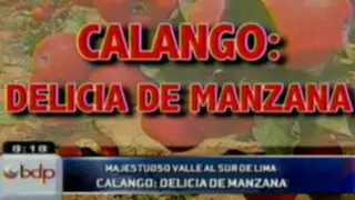 Lo invitamos a conocer Calango, un majestuoso valle al sur de Lima
