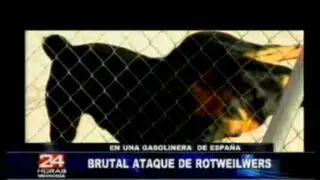 Imágenes del ataque de tres Rottweilers a un hombre en España