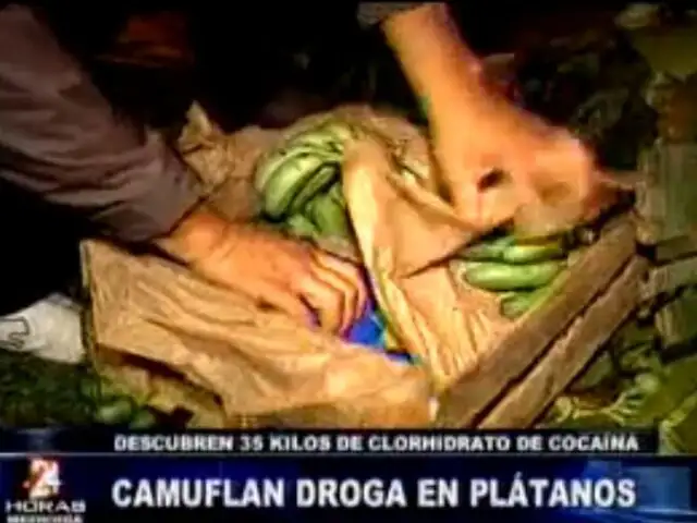 Policía incauta 35 kilos de clorhidrato de cocaína camuflados en cajas de plátanos