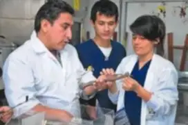 Científico peruano crea prototipo de hueso húmero humano a base de coco