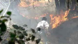 Chile: seis bomberos fallecieron en voraz incendio forestal