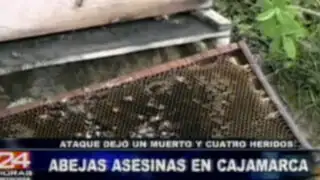 Cajamarca: ataque de abejas asesinas deja un muerto y cuatro heridos
