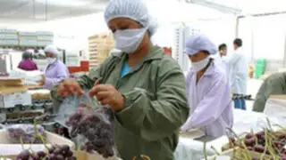 La Uva peruana causa dolor de cabeza en la industria chilena