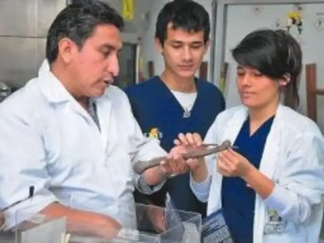 Científico peruano crea prototipo de hueso húmero humano a base de coco