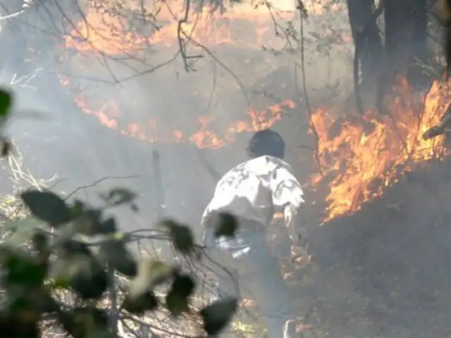Chile: seis bomberos fallecieron en voraz incendio forestal
