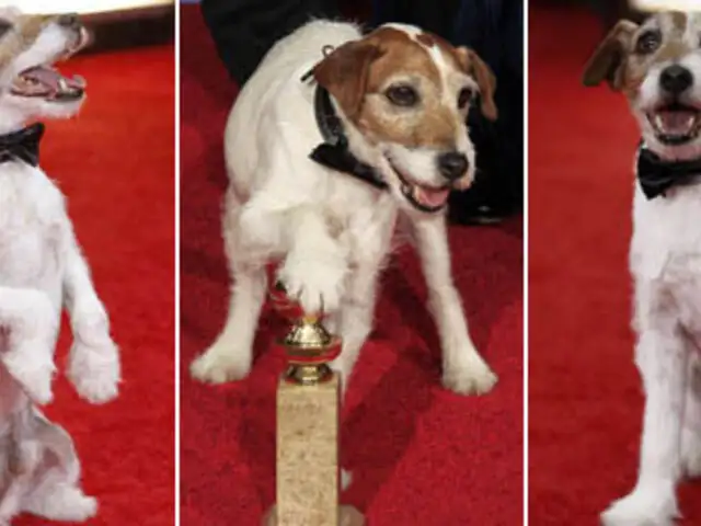 EEUU: perro actor ganó el codiciado premio Globo de Oro