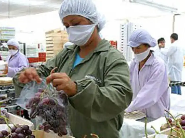 La Uva peruana causa dolor de cabeza en la industria chilena