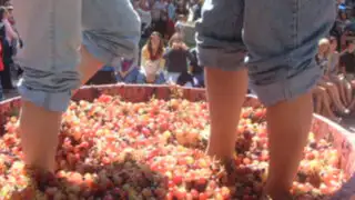 Vendimia generaría epidemias por el colapso del agua y desagüe en Ica  