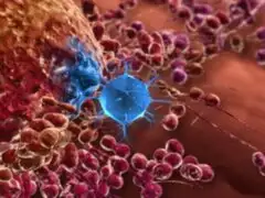 Virus de Papiloma Humano puede producir múltiples tipos de cáncer