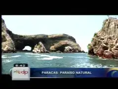 Paracas: paradisiaco destino turístico que alberga sol, playa y naturaleza